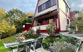 Ferienhaus Veronika Odenwald